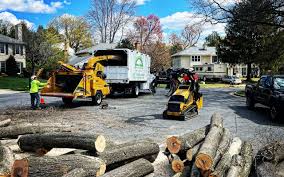 Reliable Rocky Top, TN Tree Services Solutions